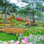 Nha Trang: Top Site Must Visit Da Lat City Trip - FAQ