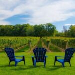 Niagara Falls Day Tour from Toronto (9 Hours) - Exploring Clifton Hill