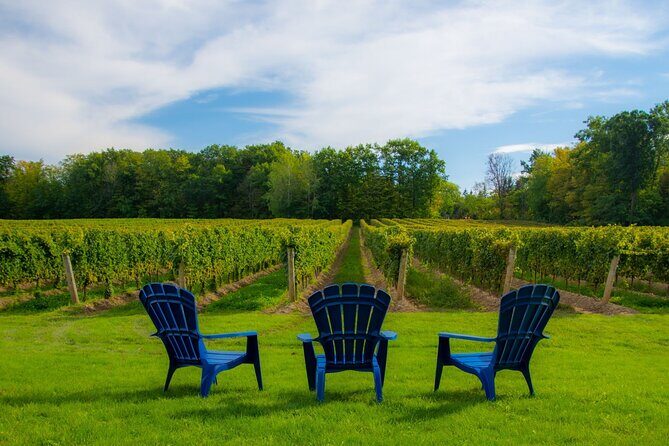 Niagara Falls Day Tour from Toronto (9 Hours) - Exploring Clifton Hill