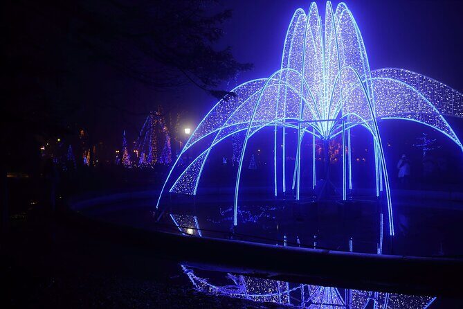 Niagara Falls USA/Canada Winter Wonderland Adventure tour - What’s Included and What to Consider