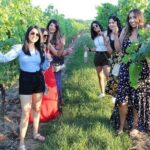 Niagara Power Station & Tunnel Under Falls Tour With Hotel Pickup - Exploring the Itinerary in Detail