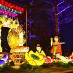 Night Flexible Private Guided Tour in Seoul(Optional Layover) - Final Thoughts