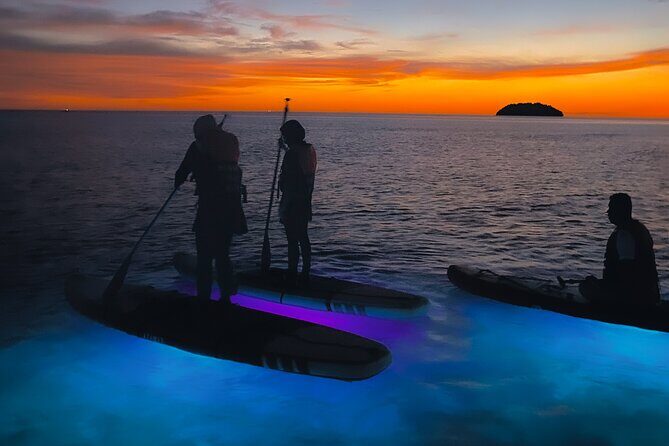 Night Glow Stand Up Paddle Experience in Kota Kinabalu - An Adventure That Transcends Ordinary Paddleboarding