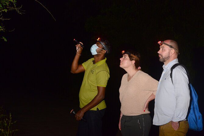 Night Hike to see Elusive & Rare Loris in Sigiriya - Why This Tour Offers Great Value