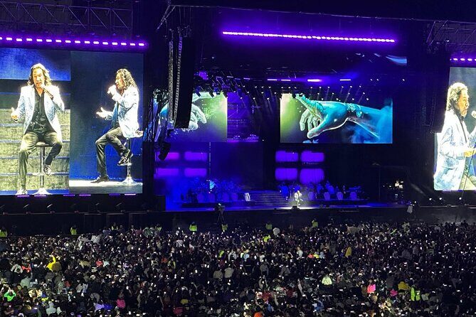 Night of VIP Concert in Mexico City with Private Transfer - Who Is This Experience Best For?
