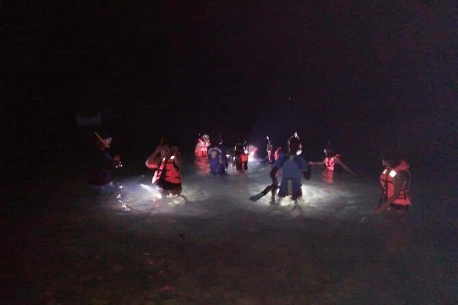 Night Snorkeling Experience in Mirissa - Night Snorkeling Experience in Mirissa: An Underwater Adventure After Dark