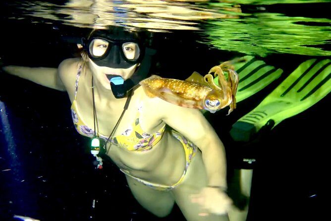 Night Snorkeling - Observation of octopus and other species - Practical Details and Tips