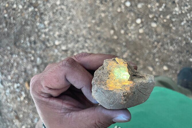 Night time fluorescent Rockhounding Tour - Who Should Book This Tour?