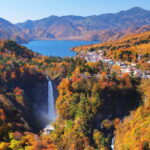 Nikko Day Tour from Tokyo with English Speaking Driver - Who This Tour is Best For