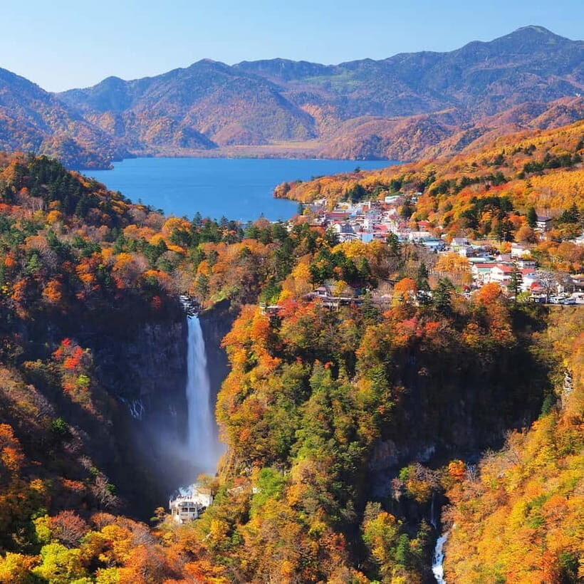 Nikko Day Tour from Tokyo with English Speaking Driver - Who This Tour is Best For