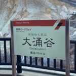 Nikko Private Day Tour with English Speaking Expert Driver - Why This Tour Offers Good Value