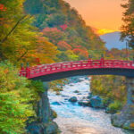 Nikko Private Day Trip with English Driver-Guide From Tokyo - Who Will Love This Tour?