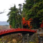 Nikko: Private Sightseeing Day Tour with Driver & Transport - Who Is This Tour Best For?