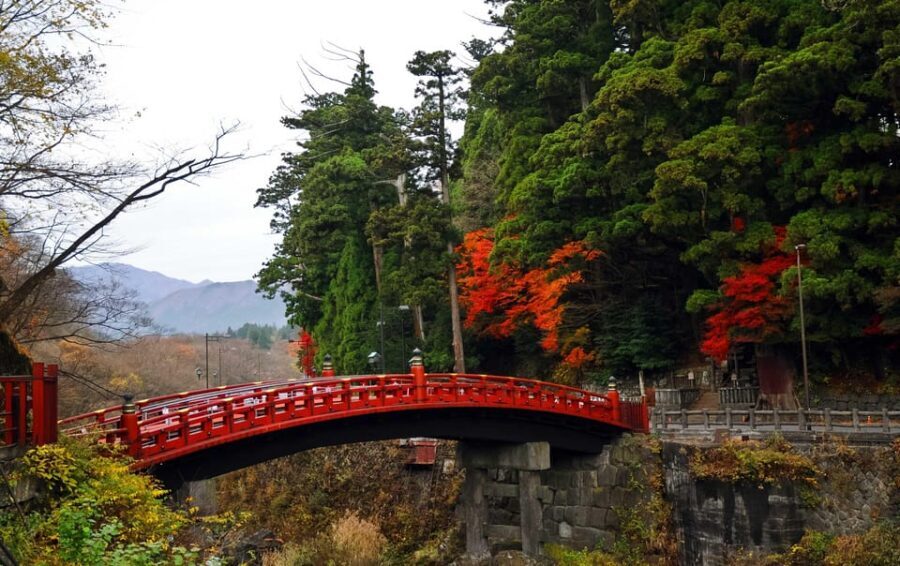 Nikko: Private Sightseeing Day Tour with Driver & Transport - Who Is This Tour Best For?