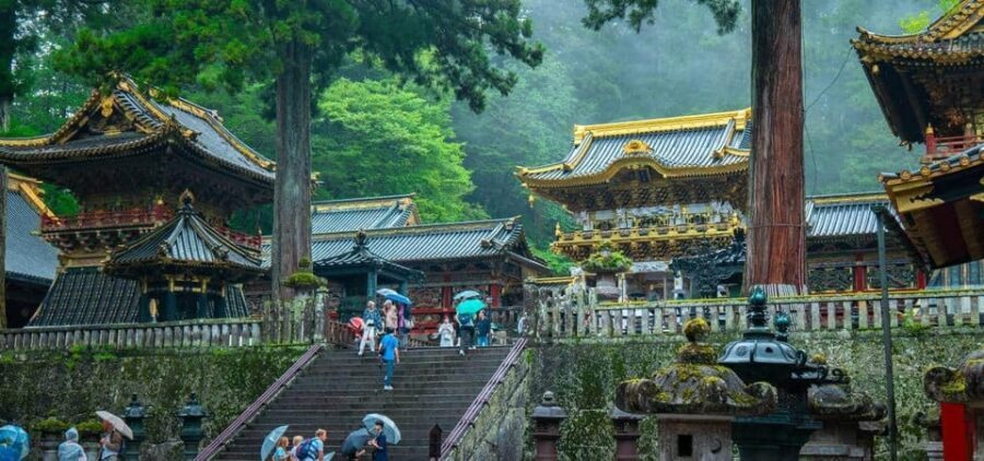 Nikko World Heritage Tour With English Drivers - The Details That Make This Tour Stand Out