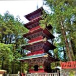 Nikko's Majestic Landscapes: Private Guided Tour - Cost and Value