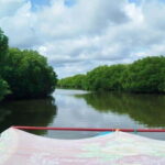 Nilaveli: Lagoon Boat Safari with Mangrove Exploration - The Sum Up