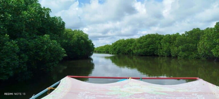Nilaveli: Lagoon Boat Safari with Mangrove Exploration - The Sum Up