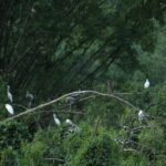 Ninh Binh 2 Days 1 Night with 4 Star Resort and Spa (Group 8) - FAQ