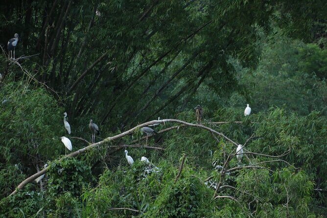 Ninh Binh 2 Days 1 Night with 4 Star Resort and Spa (Group 8) - FAQ