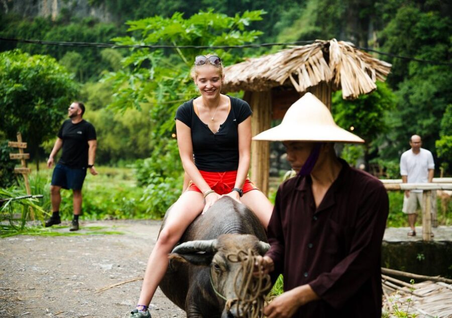 Ninh Binh: Buffalo riding, rice planting group tour - A Closer Look at the Itinerary and Activities