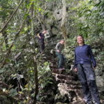 Ninh Binh: Cuc Phuong Jungle Hike & Wildlife Day Trip - Authenticity and Value of the Tour