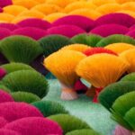 Ninh Binh From Hanoi Via Incense Village Small Group of 9 - Why This Tour Works Well for Travelers