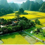 Ninh Binh Jeep Tour: Tam Coc HIGHTLIGHTS & HIDDEN GEMS - Who Would Love This Tour?