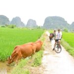 Ninh Binh Private Tour to Mua Cave Trang An Grottoes From Hanoi - Practical Considerations