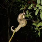 Ninh Binh Thung Nham, Cuc Phuong National Park 2 Day Tour - Final Thoughts