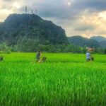 Ninh Binh Tour: Deluxe & Small Group Tam Coc Hoa Lu - Boat, Biking, Buffet Lunch - Who Is This Tour Best For?