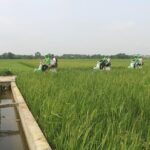 Ninh Binh Vespa Start from Hanoi + Boat + Villages +Rice Paddies - Why This Tour Stands Out