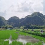 Ninh Binh Vespa Tours from Hanoi: Vespa + Boat + Daily Life - Who Will Love This Tour?
