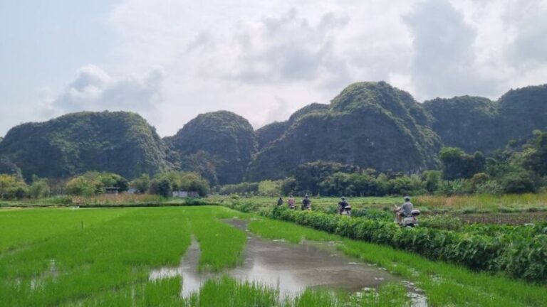 Ninh Binh Vespa Tours from Hanoi: Vespa + Boat + Daily Life - Who Will Love This Tour?