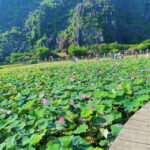 Ninh Binh:Motorbike Tour Countryside Visit and Cooking Class - A Deep Dive into the Experience