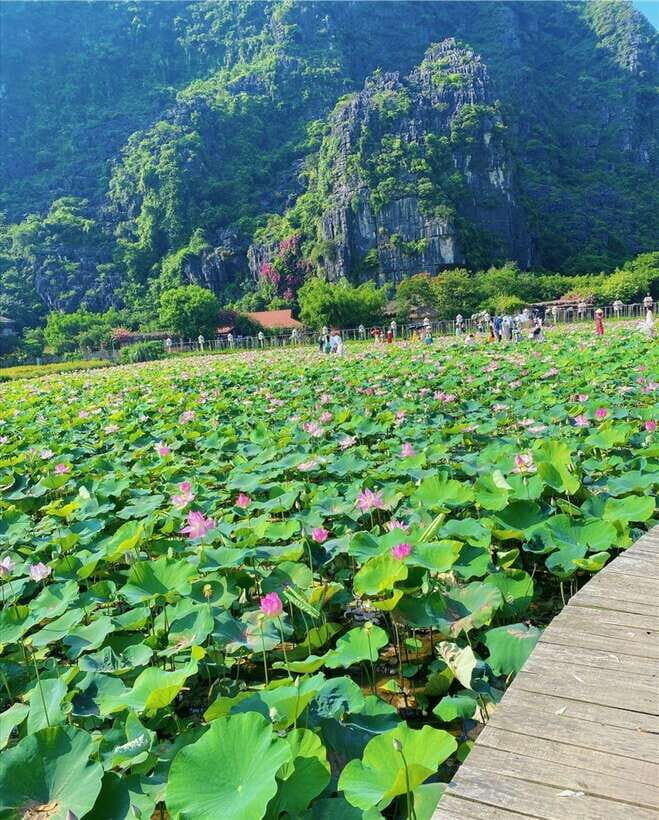 Ninh Binh:Motorbike Tour Countryside Visit and Cooking Class - A Deep Dive into the Experience