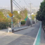 Nishinomiya: Haruhi Suzumiya Anime Locations Guided Tour - Analyzing the Experience: Whats in It for You?