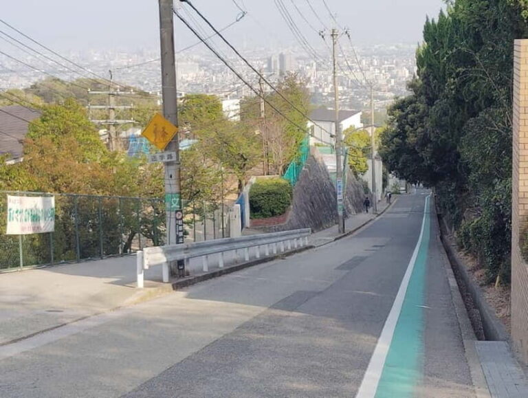 Nishinomiya: Haruhi Suzumiya Anime Locations Guided Tour - Analyzing the Experience: Whats in It for You?