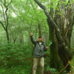 Nishiusuzuka: Fuji Forest Hiking Tour with Guide & Transfer - The Guided Experience and Practicalities