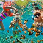 Nizuc Reef Snorkel Experience - Who Is This Tour Best For?
