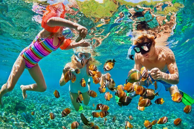 Nizuc Reef Snorkel Experience - Who Is This Tour Best For?