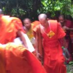 No.1 Chiang Mai: 3-Hour Monk Trail Hike to Wat Doi Suthep & Palad - Who Should Consider This Tour?