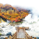 Noboribetsu and Toya Full Day Tour - Transportation, Pricing, and Overall Value