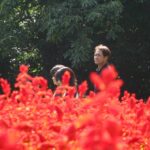 Nokonoshima Island Park: Garden Tour & Wagyu BBQ Lunch - Why This Tour Works