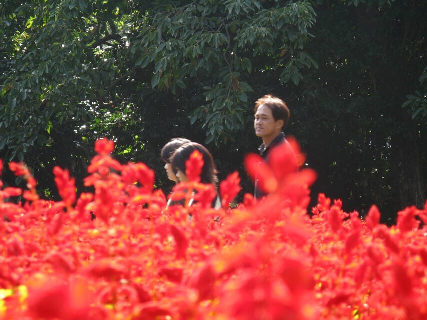 Nokonoshima Island Park: Garden Tour & Wagyu BBQ Lunch - Why This Tour Works