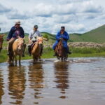 Nomad Ride - The Value and Practicalities