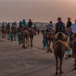 Nomadic Non-Touristic Overnight Camel & Desert Safari Tour - Why This Experience Stands Out