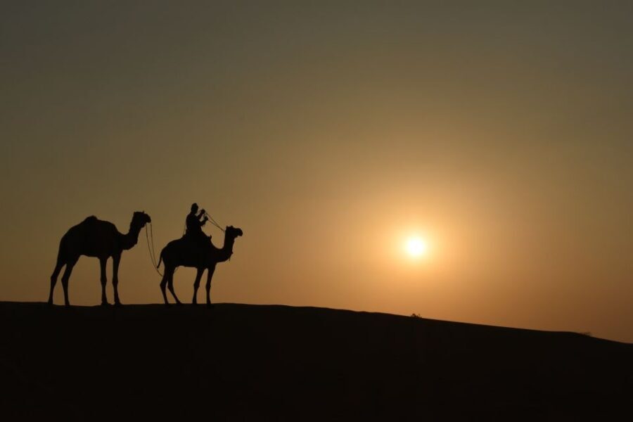 Nomadic Non-Touristic Overnight Camel & Desert Safari Tour - What Makes This Tour Stand Out