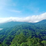 North Bali Sekumpul Waterfall, Banyumala Waterfall & Temple Tour - Who Would Benefit Most?