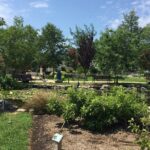 North Beach Historic - Guided Walking Tour - Authentic reflections from previous participants